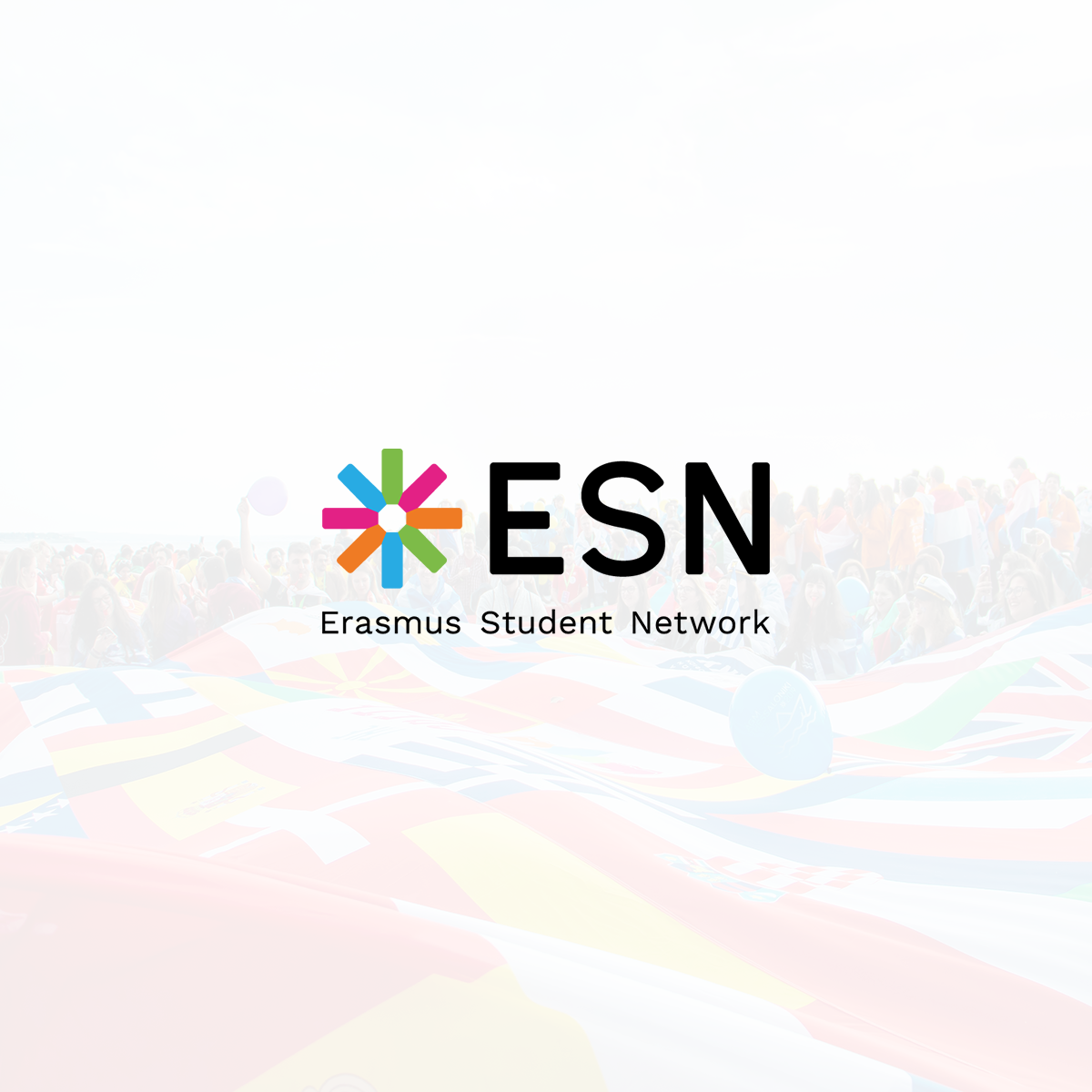 check email number esn